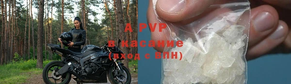 стаф Ладушкин