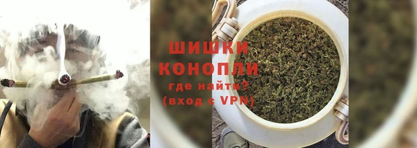 винт Лабытнанги