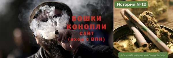 винт Лабытнанги