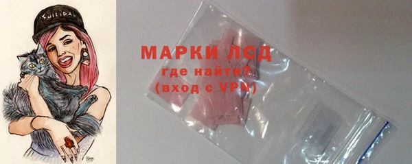 винт Лабытнанги