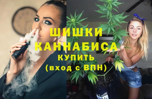 стаф Ладушкин