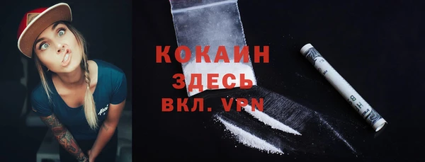 стаф Ладушкин
