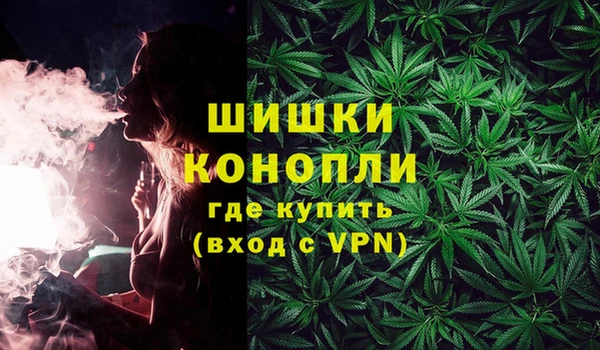стаф Ладушкин