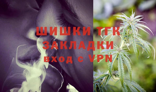 винт Лабытнанги