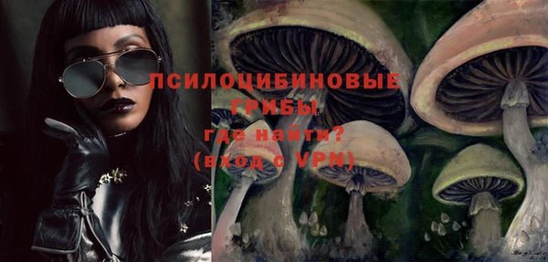 стаф Ладушкин