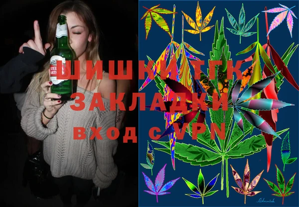 стаф Ладушкин