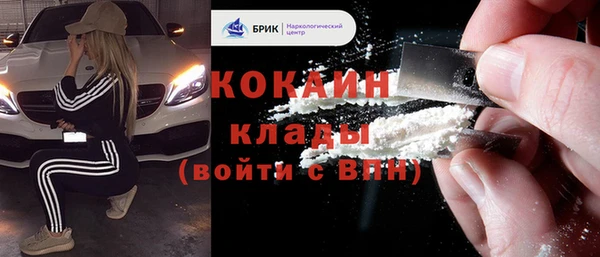 винт Лабытнанги