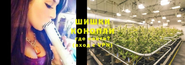 стаф Ладушкин